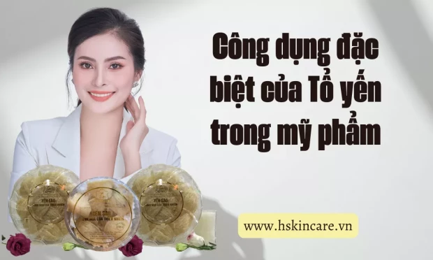 Công Dụng Của Yến Sào Đối Với Làn Da Bạn Nên Biết