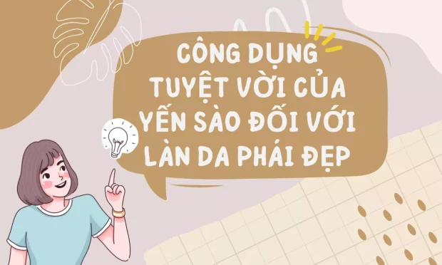 Công Dụng Của Yến Sào Đối Với Làn Da Phái Đẹp