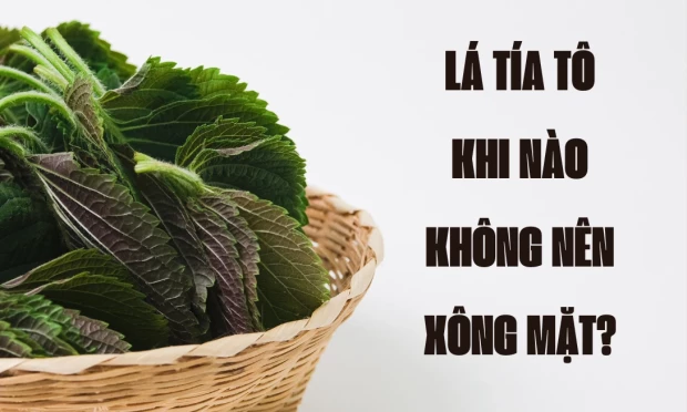 Lá Tía Tô Khi Nào Không Nên Xông Da Mặt